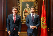 MBËSHTETJE PËR LISTAT E HAPURA DHE KANDIDATURAT INDIVIDUALE