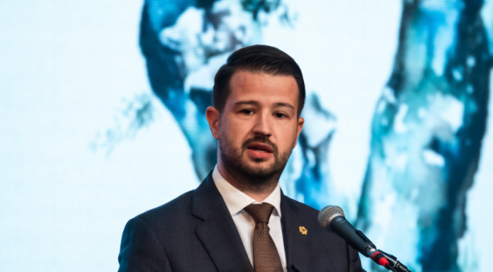 MILLATOVIQ: MALI I ZI DO TË JETË ANËTARI I 28-të I BE-së