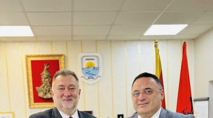 GJELAJ PRITI NË TAKIM AMBASADORIN E SLLOVAKISË, BORIS GANDEL