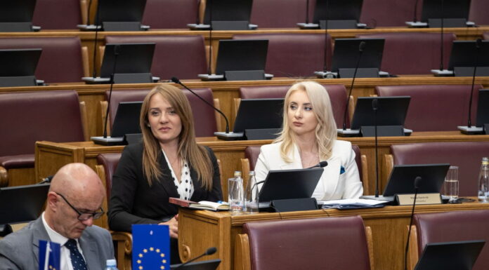 GORÇEVIQ: SË SHPEJTI KËSTI I PARË NGA PLANI I RRITJES