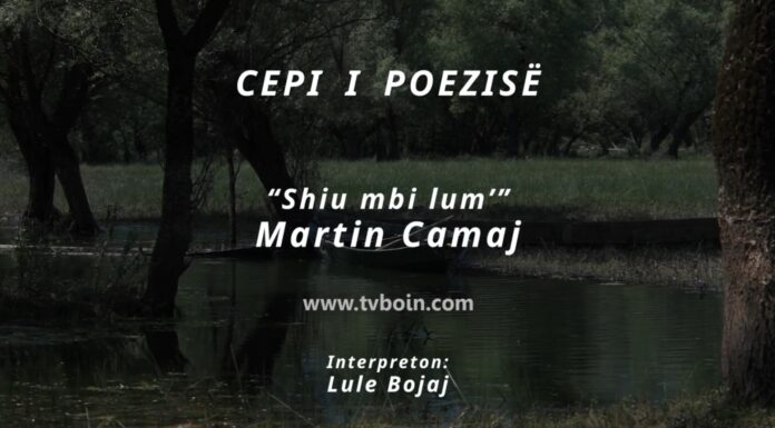 Cepi i poezisë – “Shiu mbi lum’” / Martin Camaj