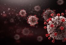 ISHP: RRITJE E INFEKSIONEVE GASTROINTESTINALE DHE COVID-19 NË FILLIM TË VITIT SHKOLLOR