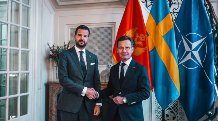 MILLATOVIQ NË SUEDI: HAPET NJË FAQE E RE NË MARRËDHËNIET NDËRMJET MALIT TË ZI DHE SUEDISË