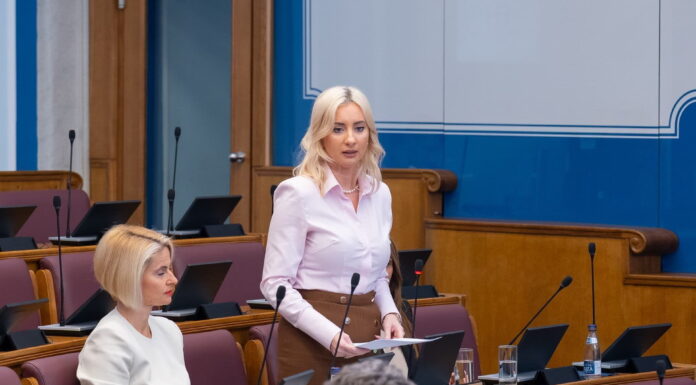 GORÇEVIQ: MALI I ZI DO TË ANËTARËSOHET NË BASHKIMIN EVROPIAN ME TË DREJTË TË PLOTË VOTE