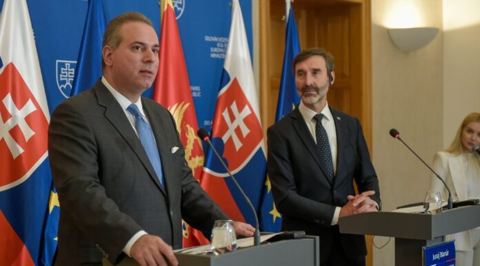 IVANOVIQ: SLLOVAKIA KONFIRMON MBËSHTETJE TË FUQISHME PËR ANËTARËSIMIN E MALIT TË ZI NË BE