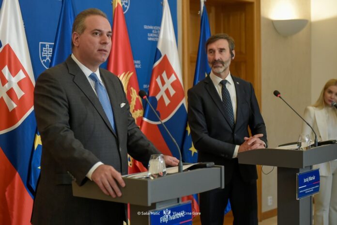 1764256880dphtdrmgmggce9fa-i_1920x1280