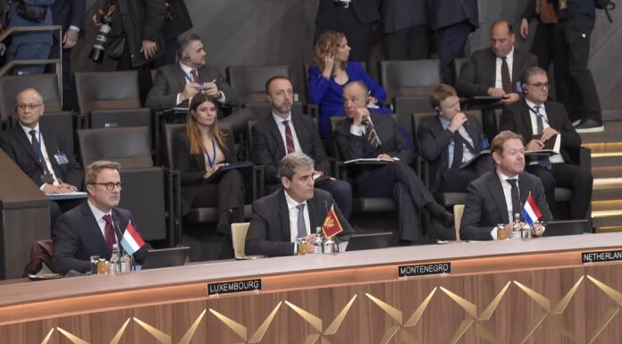 IBRAHIMOVIQ: MBËSHTETJE E FUQISHME PËR UKRAINËN DHE FOKUS I SHTUAR TE BALLKANI PERËNDIMOR