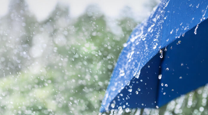 MALI I ZI: RESHJE TË DENDURA SHIU NË SHAVNIK, CETINË, KOLLASHIN DHE NIKSHIQ