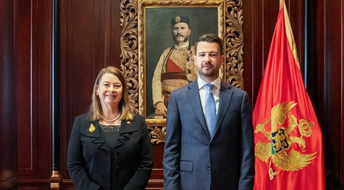 MARRËDHËNIET NDËRMJET MALIT TË ZI DHE SHBA-ve MBI BAZA TË FORTA PARTNERITETI