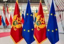 DELEGACIONI I KOMITETIT PËR ÇËSHTJE TË JASHTME TË PE DO TË VIZITOJË MALIN E ZI DHE SHQIPËRINË