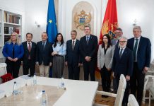 CAMAJ: KUVENDI I MALIT TË ZI FORCON ROLIN NË PËRMIRËSIMIN E KUADRIT LIGJOR