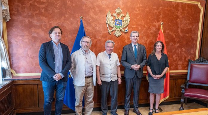 CAMAJ DHE DELEGACIONI I CINGO-s DISKUTUAN FORCIMIN E ROLIT TË OJQ-ve NË PROCESET VENDIMMARRËSE