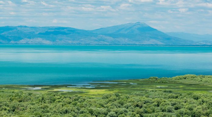LIQENI I SHKODRËS SHPALLET REZERVË BIOSFERE E UNESCO-s