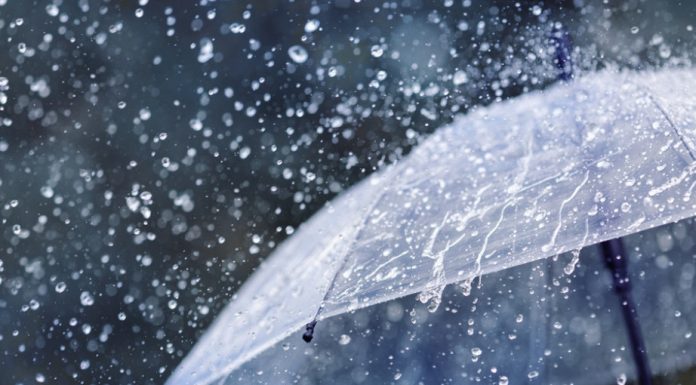 ALARM I VERDHË NË TË GJITHË MALIN E ZI PËR ERË TË FORTË, STUHI DHE TEMPERATURA TË LARTA