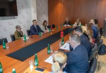 SHAHMANOVIQ: MALI I ZI DHE SHQIPËRIA MUND TË NDËRTOJNË SË BASHKU TË ARDHMEN ENERGJETIKE DHE EKONOMIKE