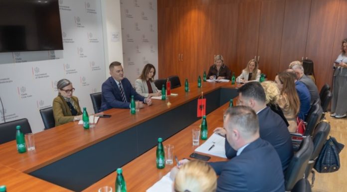 SHAHMANOVIQ: MALI I ZI DHE SHQIPËRIA MUND TË NDËRTOJNË SË BASHKU TË ARDHMEN ENERGJETIKE DHE EKONOMIKE