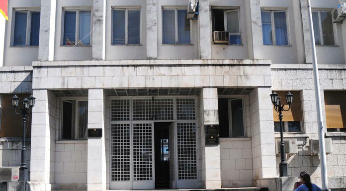MALI I ZI VENDOS VIZA PËR RUSINË, TURQINË, BJELLORUSINË, KINËN DHE ARABINË SAUDITE NGA 1 NËNTORI