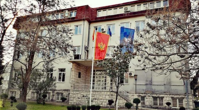 PËR HERË TË PARË, PAPUNËSIA NË MAL TË ZI BIE NËN 8%