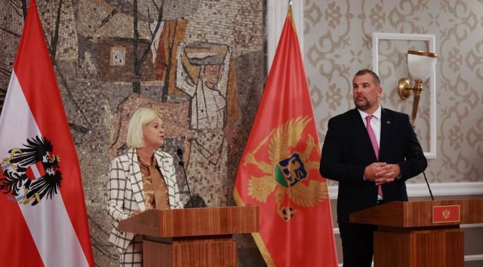 TANER: ANËTARËSIMI I MALIT TË ZI NË BE ËSHTË INVESTIM NË SIGURI, STABILITET DHE PAQE