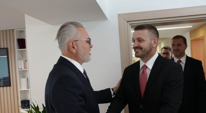 DUKAJ DHE GOGU: MALI I ZI DHE SHQIPËRIA FORCOJNË BASHKËPUNIMIN NË ADMINISTRATËN PUBLIKE DHE SUNDIMIN E LIGJIT