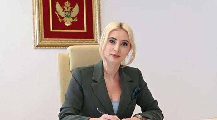 GORÇEVIQ NË PARLAMENTIN EVROPIAN: MALI I ZI SYNON ANËTARËSIMIN NË BE DERI NË VITIN 2028