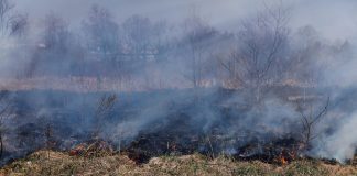ZJARRET AKTIVE NË DISA ZONA, ULQINI KËRKON NDIHMË NGA AJRI