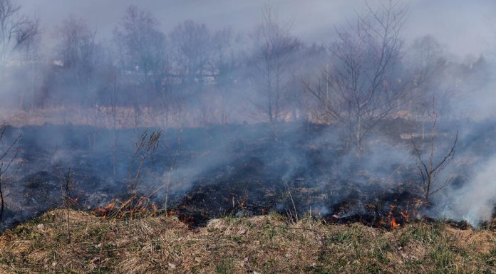 ZJARRET AKTIVE NË DISA ZONA, ULQINI KËRKON NDIHMË NGA AJRI